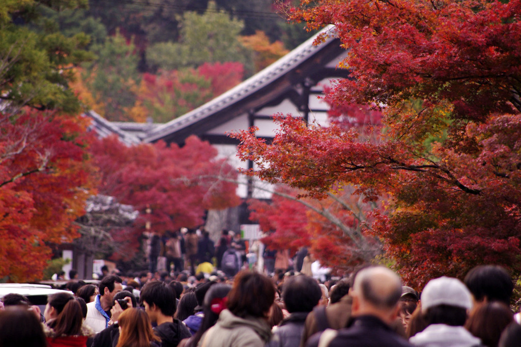 紅葉、人、人、人・・・