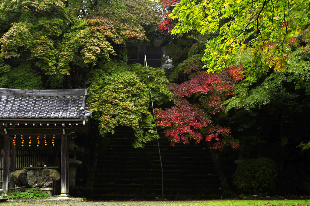 金蔵寺