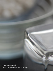 080809-transparent02