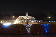 国営昭和記念公園 イルミネーション 2010