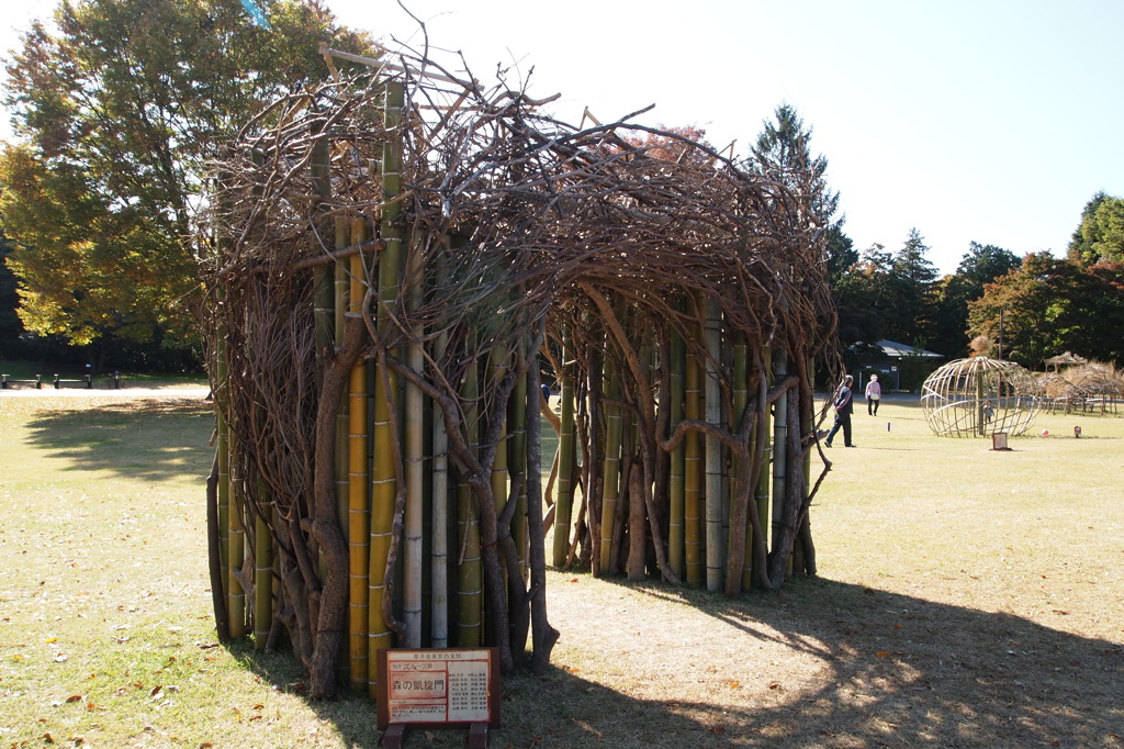 国営昭和記念公園
