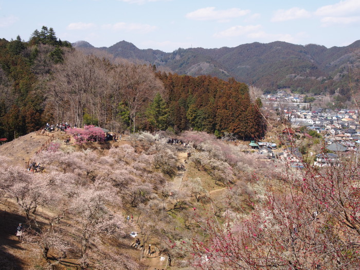 吉野梅郷