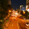 イルミネーション2010