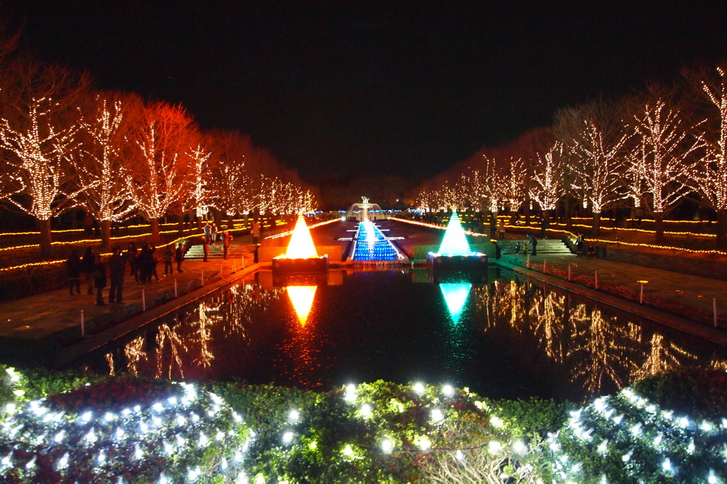 国営昭和記念公園 イルミネーション 2010