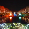 国営昭和記念公園 イルミネーション 2010