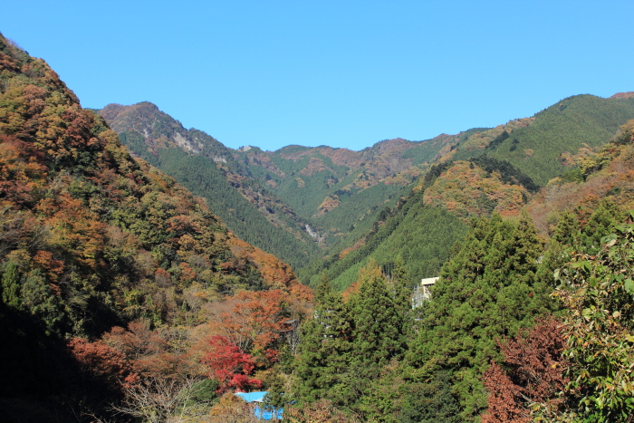 山