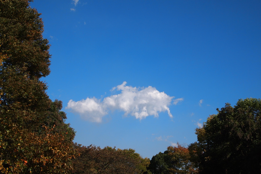 国営昭和記念公園