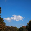 国営昭和記念公園