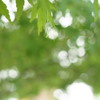 雫