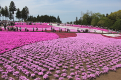 羊丘公園