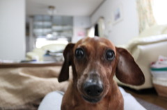 はじめまして。