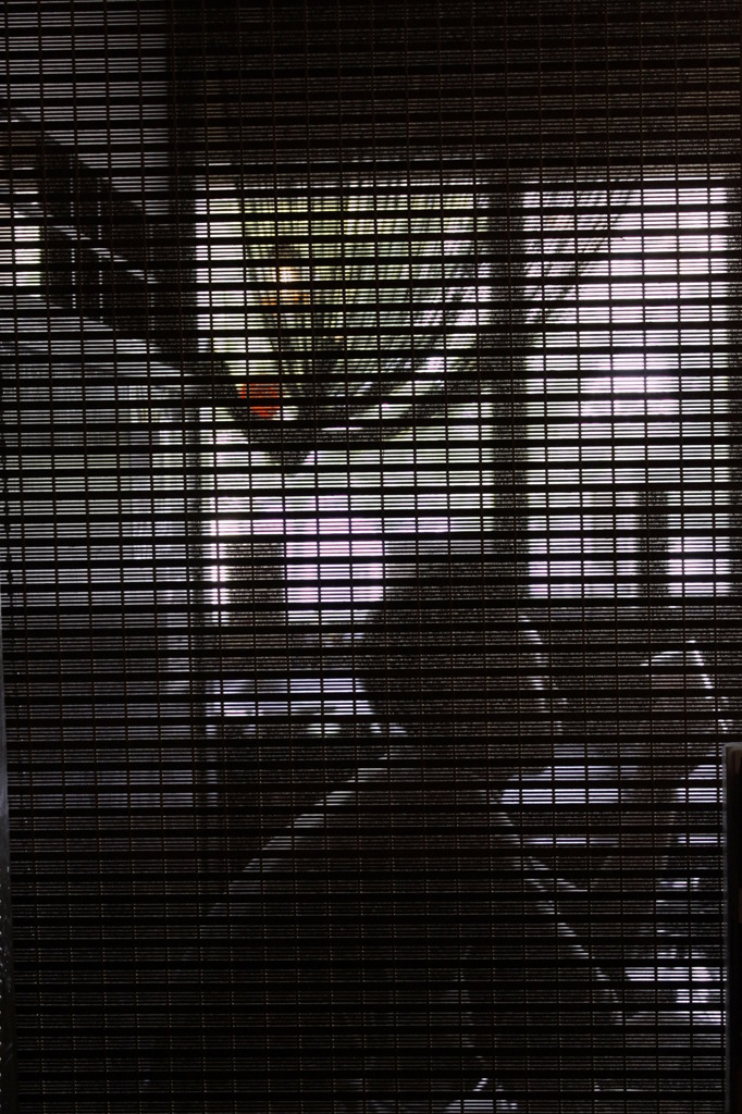 日曜日の午後に