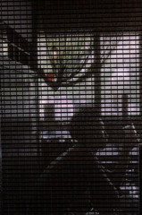 日曜日の午後に