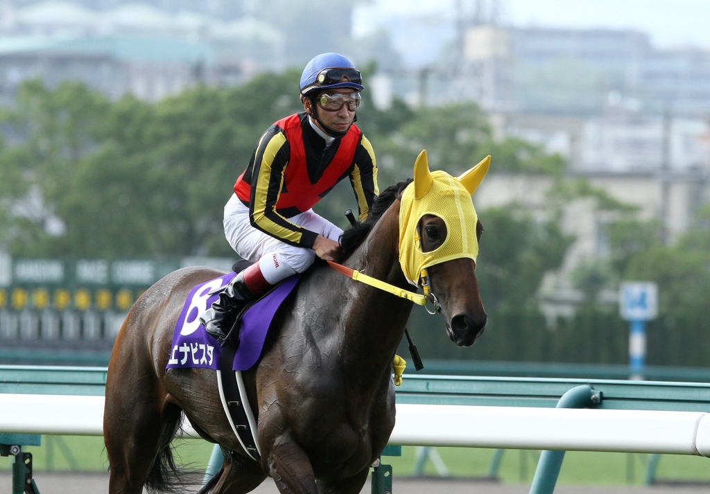 宝塚記念１番人気　ブエナビスタ