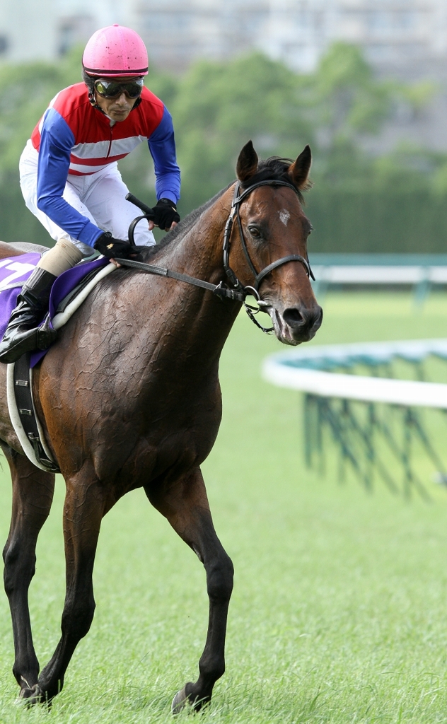 宝塚記念優勝馬、ナカヤマフェスタと柴田善臣騎手。