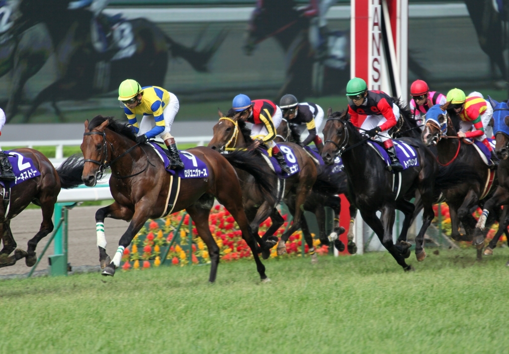 宝塚記念　１周目スタンド前を行く馬群