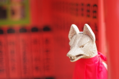 阿倍清明神社の狐さん
