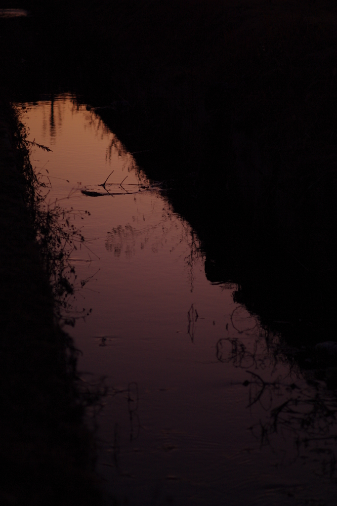 夕暮れ時の水路