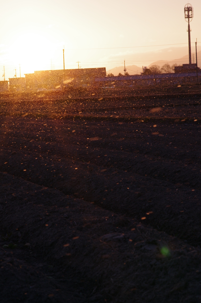 雪降る初日の出