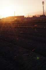 雪降る初日の出