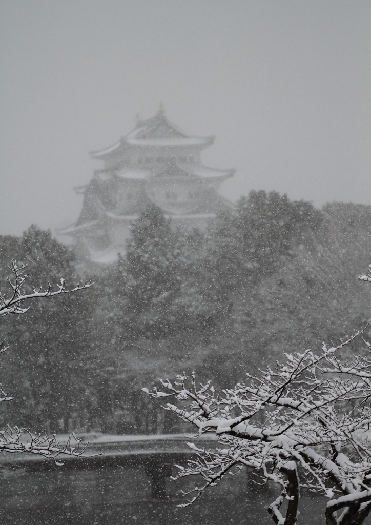 雪の名古屋城