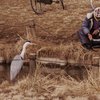 釣れますか？