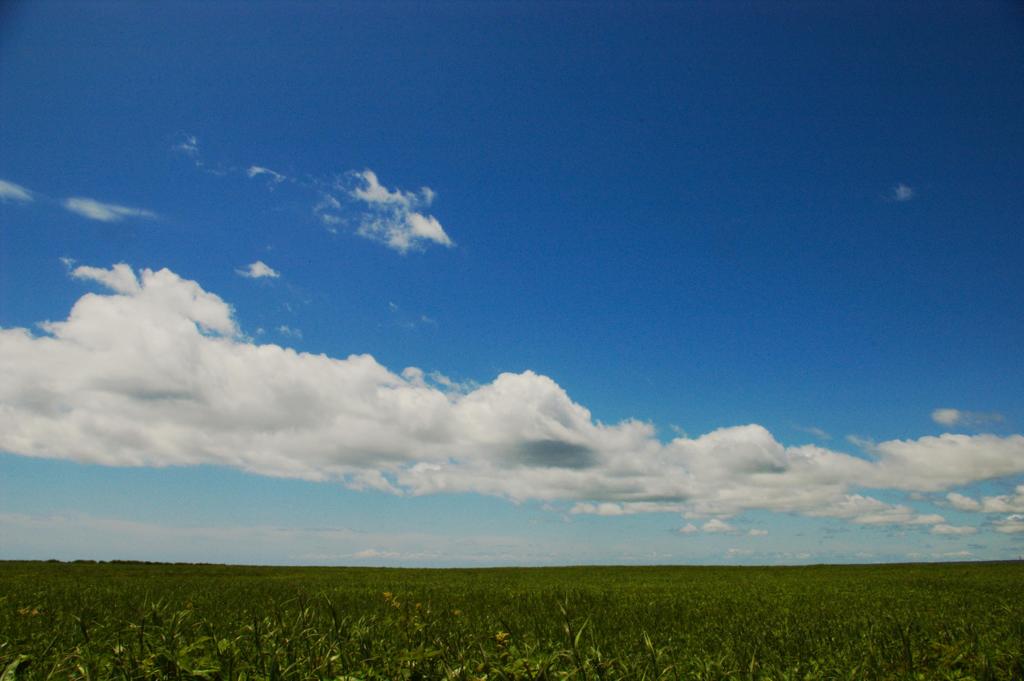 どこまでも空