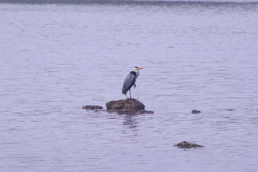 IMGP0182