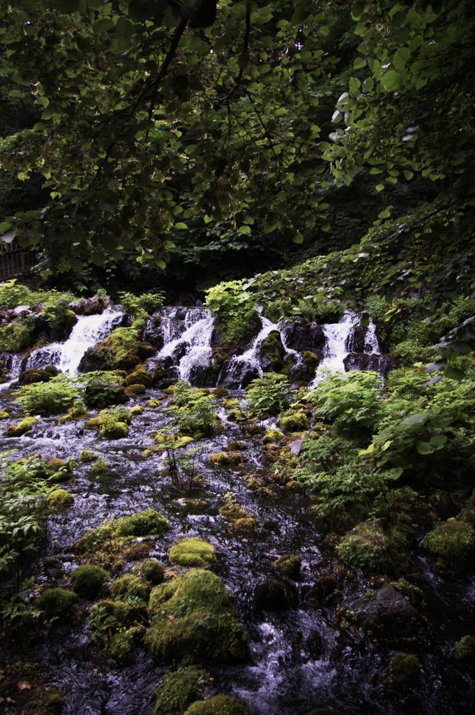 恵みの水