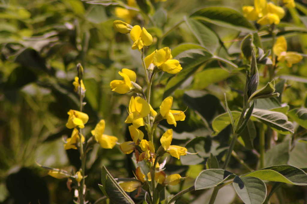 IMGP0427