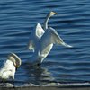 浴びる