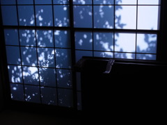 障子越しに見る風景