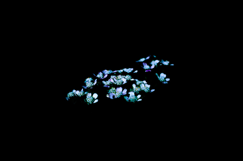 夢