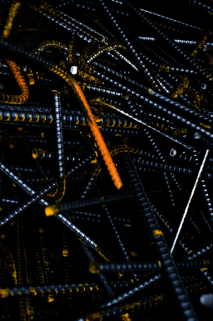 Bones