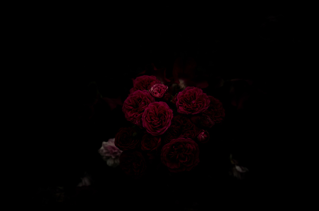 Bouquet From The Underworld