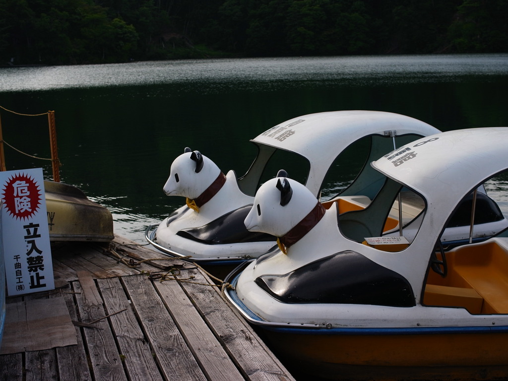 初めて見たぞパンダボート！！！