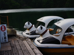 初めて見たぞパンダボート！！！