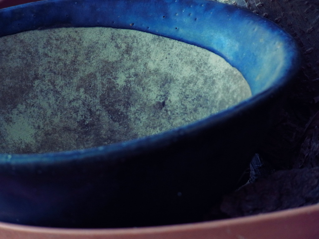 クロスプロセスモード試し撮り2