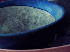 クロスプロセスモード試し撮り2