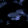 漂