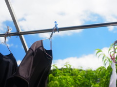 そろそろ梅雨明けか・・・