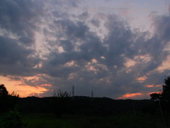 かにぱん的な・・・・