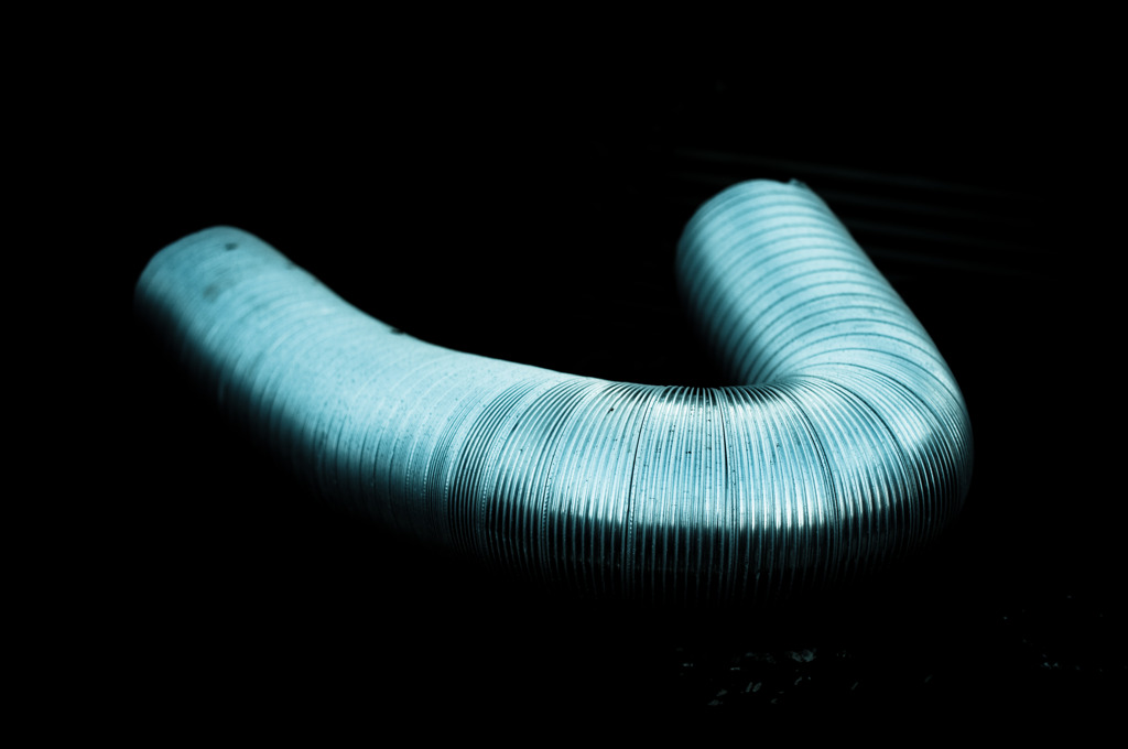 a Metal hornworm