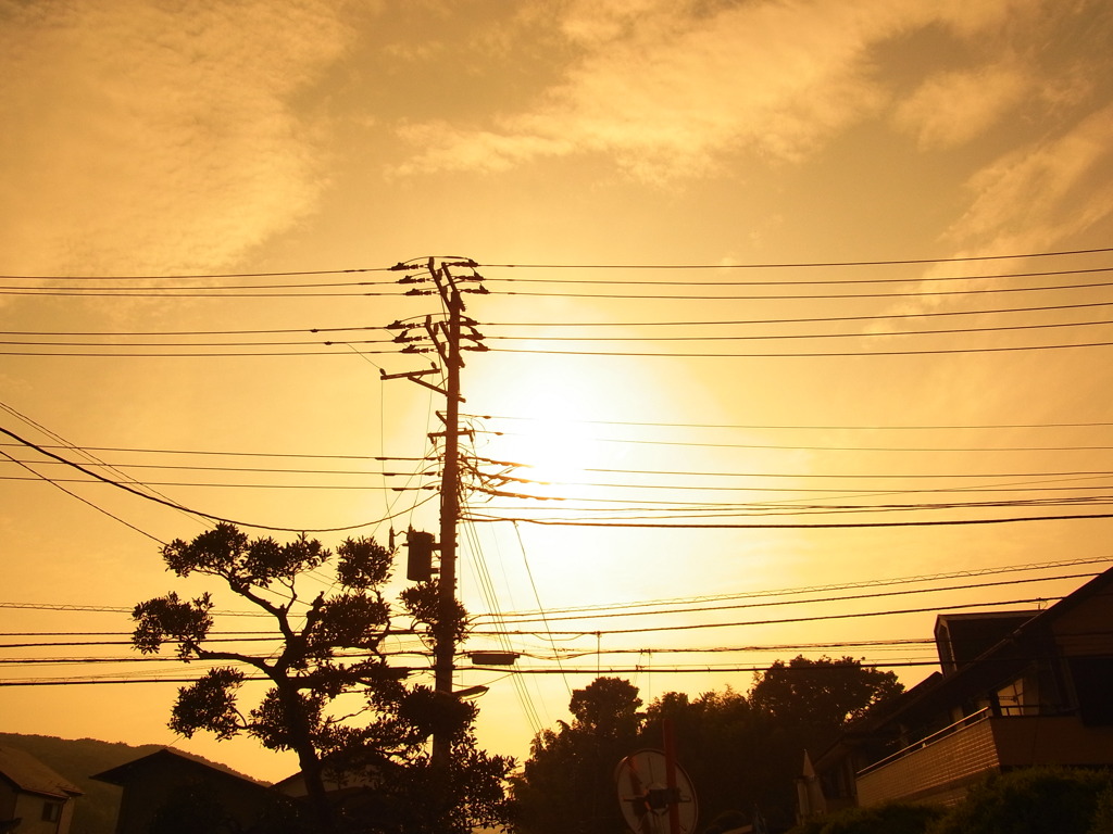 そろそろ夏ですなぁ。その2