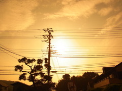 そろそろ夏ですなぁ。その2