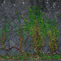 何か意図さえ感じる　その2