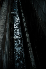 悪い子ちゃんの足跡