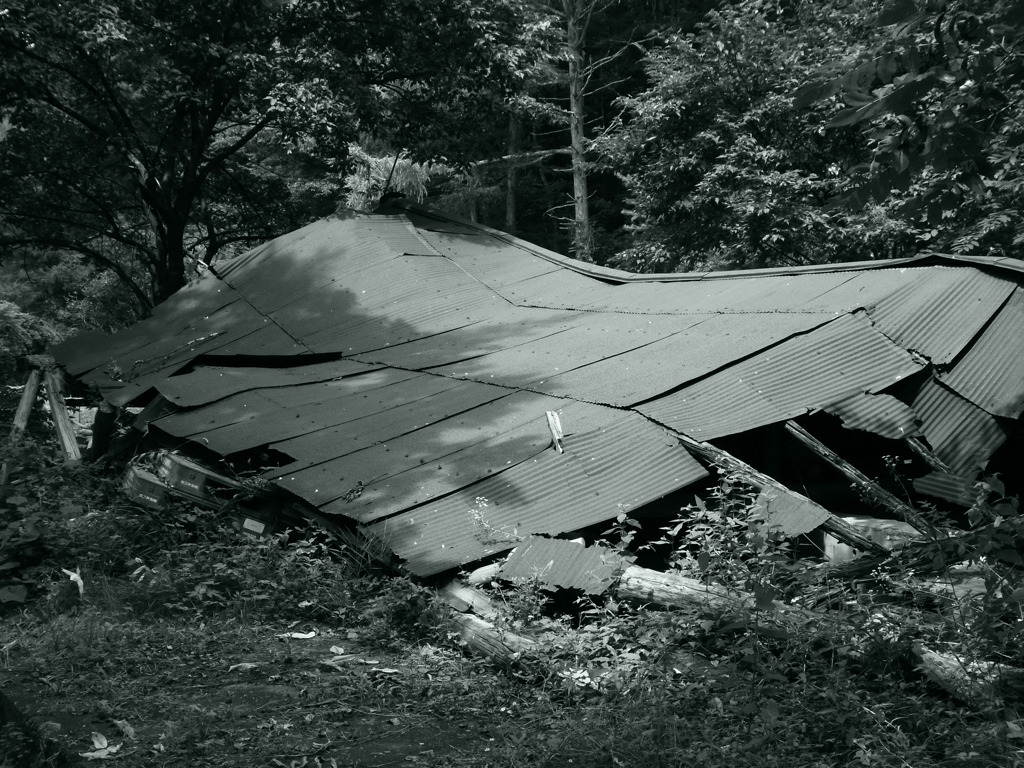 潰れてる・・・