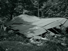 潰れてる・・・