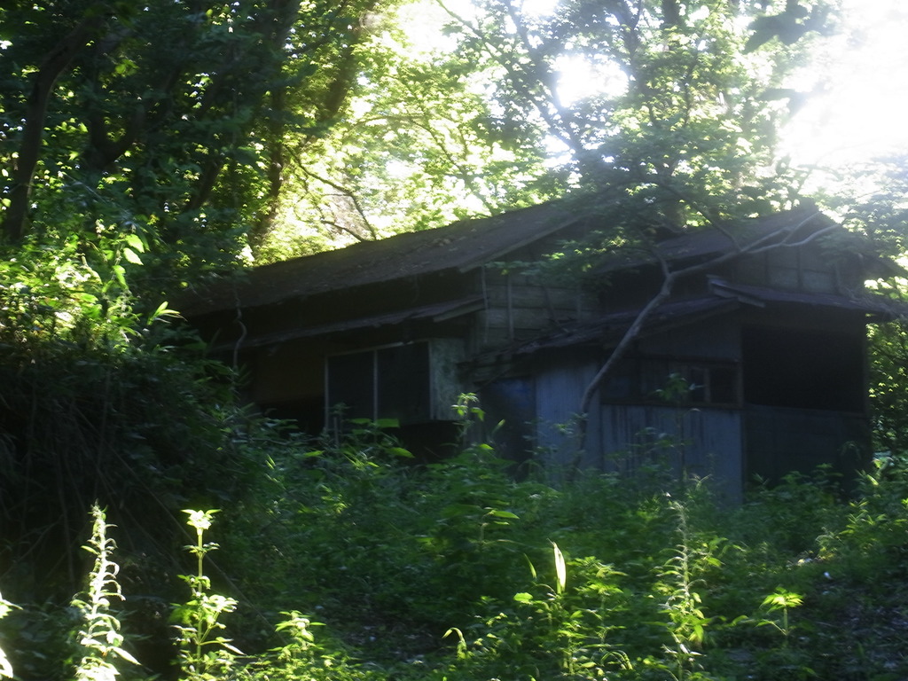 森の中の廃墟（だと思う）